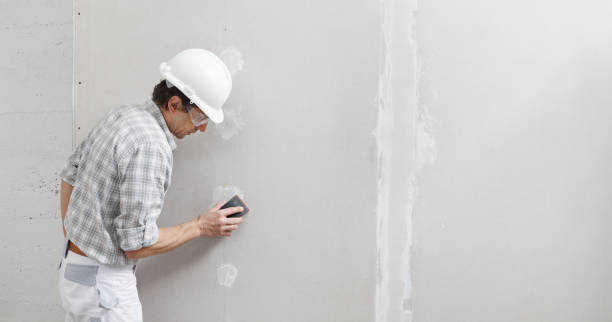 Best Residential Mold Inspection & Testing  in Brookridge, FL