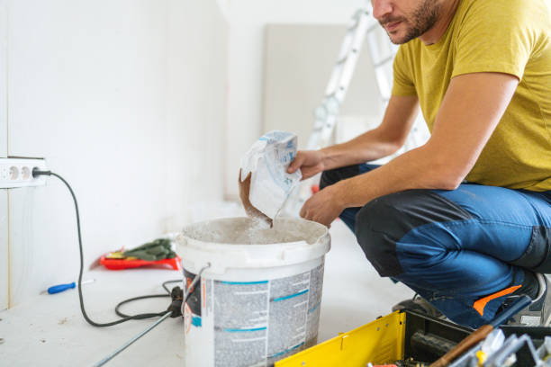 Best Mold Odor Removal Services  in Brookridge, FL