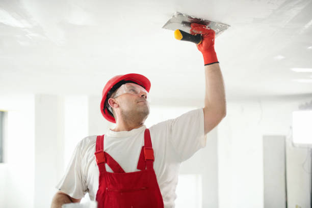 Environmental Consulting for Mold Prevention in Brookridge, FL