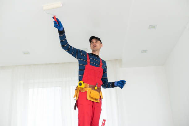 Best Comprehensive Air Testing for Mold Contaminants  in Brookridge, FL