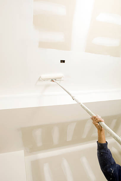  Brookridge, FL Mold Removal Pros