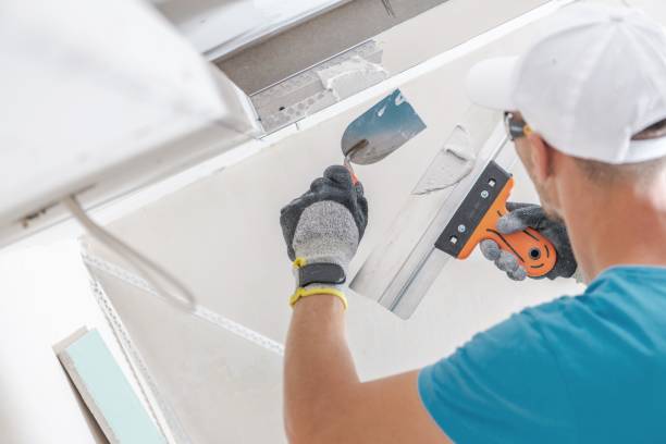 Best Environmental Consulting for Mold Prevention  in Brookridge, FL